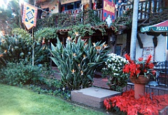 1995 - USA 34 (San Diego - Old Town)